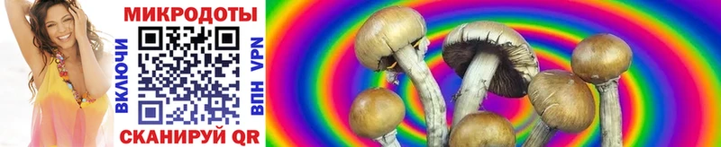 KRAKEN маркетплейс  Юрьевец  Псилоцибиновые грибы прущие грибы 
